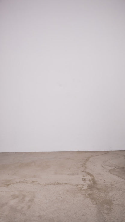 Sequoia - T-shirt Oversize Bianca e verde