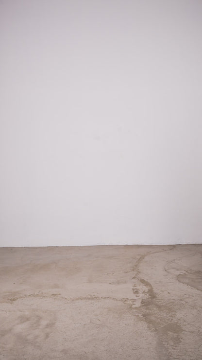 Sequoia - T-shirt Oversize Bianca e marrone